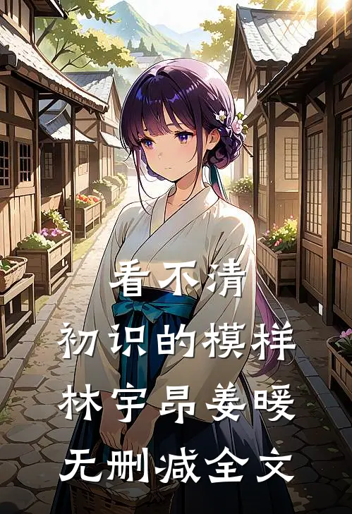 看不清，初识的模样林宇昂姜暖无删减全文
