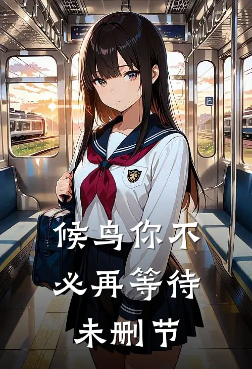 候鸟你不必再等待未删节
