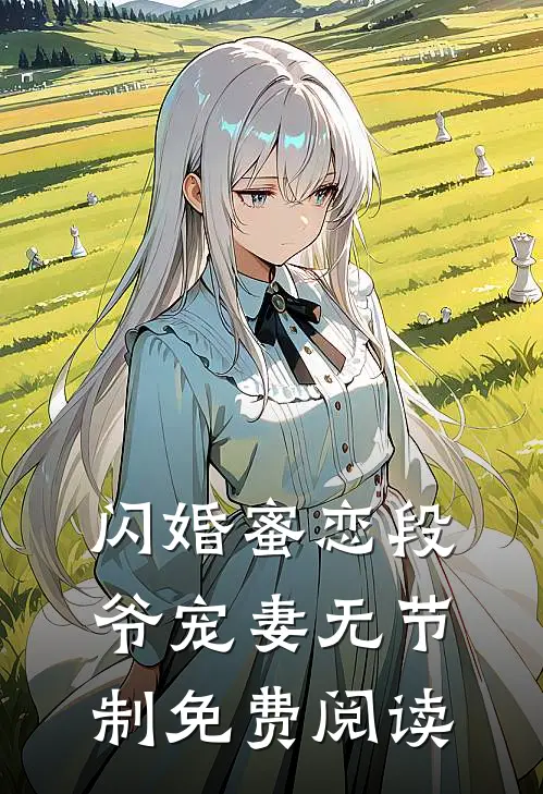 闪婚蜜恋段爷宠妻无节制免费阅读