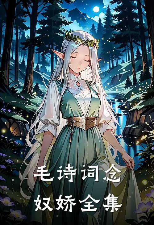 毛诗词念奴娇全集