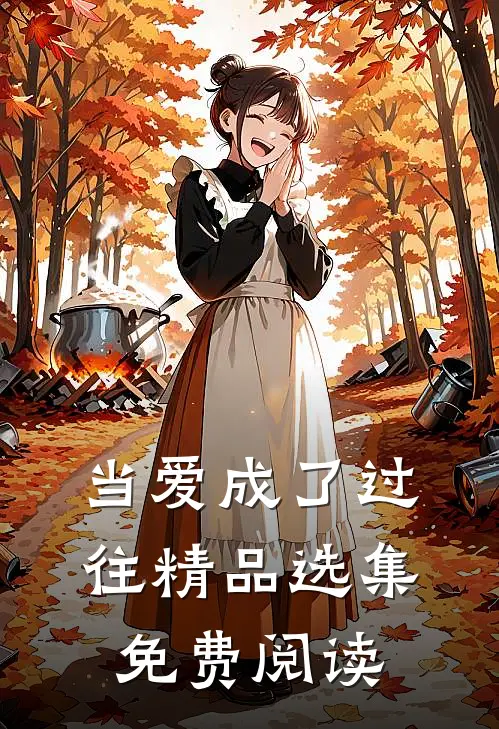当爱成了过往精品选集免费阅读