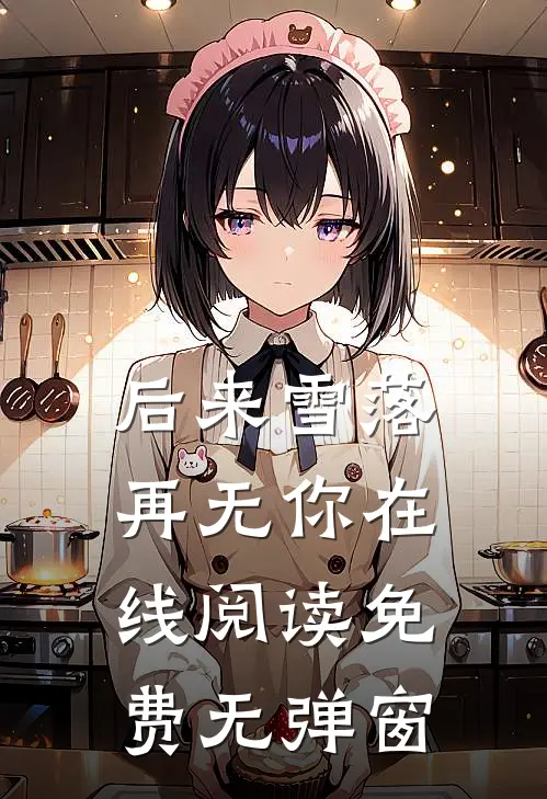 后来雪落再无你在线阅读免费无弹窗