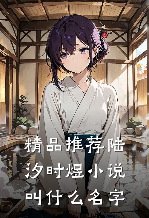 精品推荐陆汐时煜小说叫什么名字