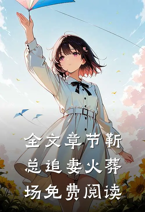 全文章节靳总追妻火葬场免费阅读
