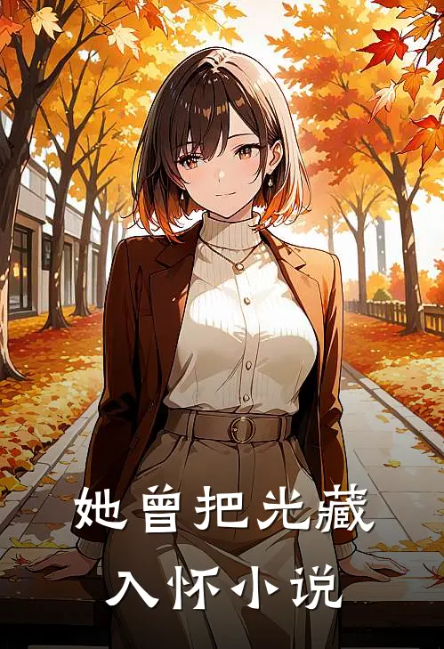 她曾把光藏入怀小说