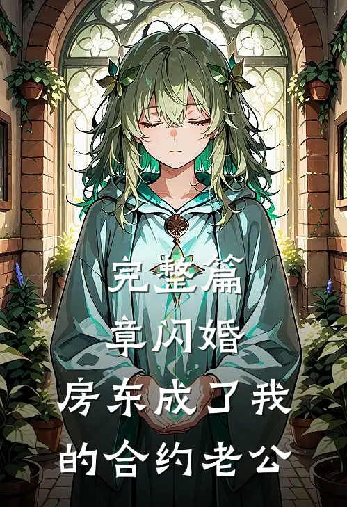完整篇章闪婚：房东成了我的合约老公