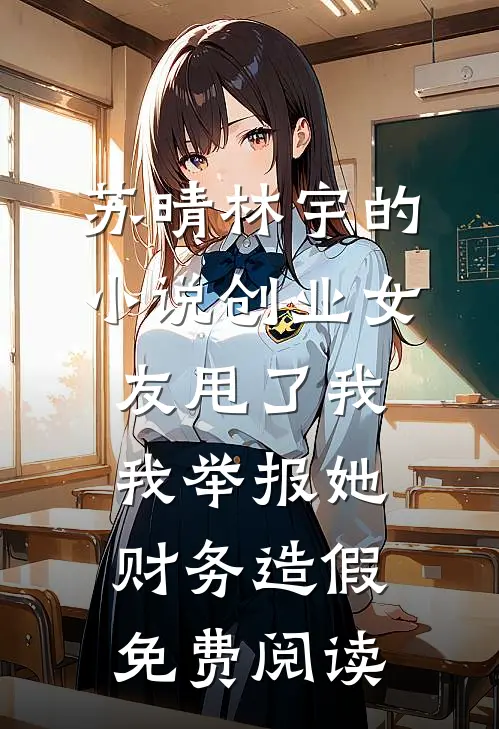 苏晴林宇的小说创业女友甩了我我举报她财务造假免费阅读