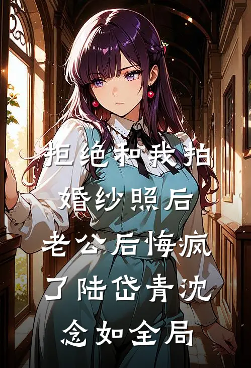 拒绝和我拍婚纱照后，老公后悔疯了陆岱青沈念如全局
