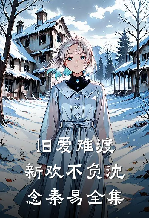 旧爱难渡，新欢不负沈念秦易全集