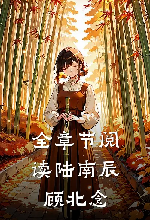 全章节阅读陆南辰 顾北念