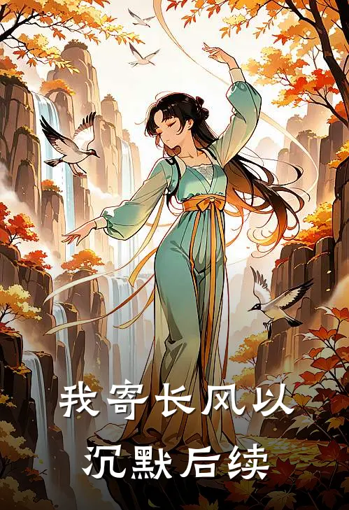 我寄长风以沉默后续