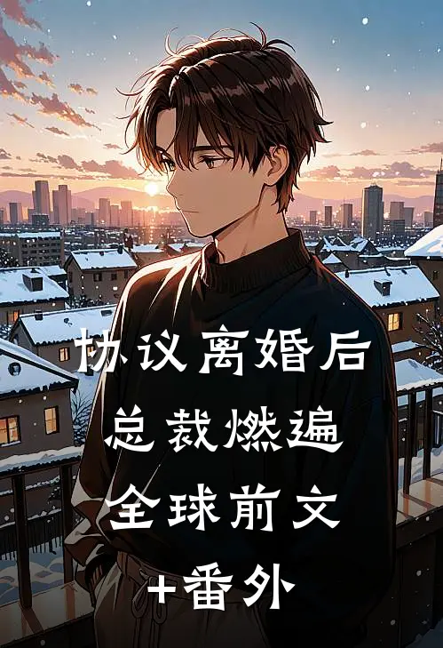 协议离婚后，总裁燃遍全球前文+番外