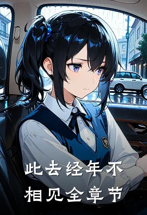 此去经年不相见全章节
