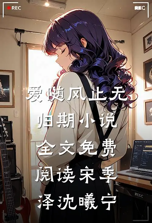 爱随风止无归期小说全文免费阅读宋季泽沈曦宁
