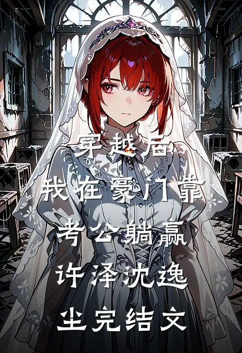 穿越后，我在豪门靠考公躺赢许泽沈逸尘完结文