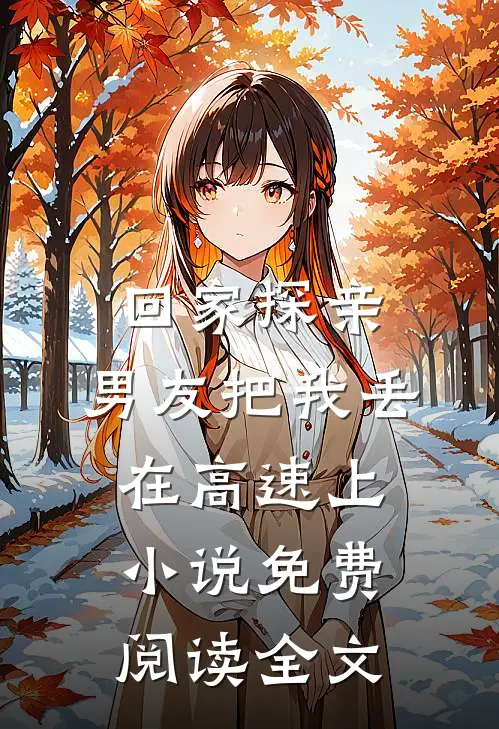 回家探亲，男友把我丢在高速上小说免费阅读全文