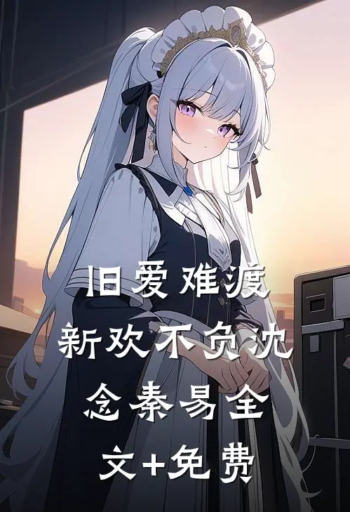 旧爱难渡，新欢不负沈念秦易全文+免费
