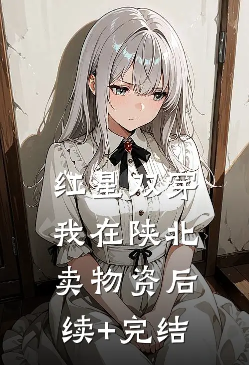 红星双穿：我在陕北卖物资后续+完结
