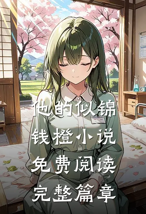他的似锦钱橙小说免费阅读完整篇章