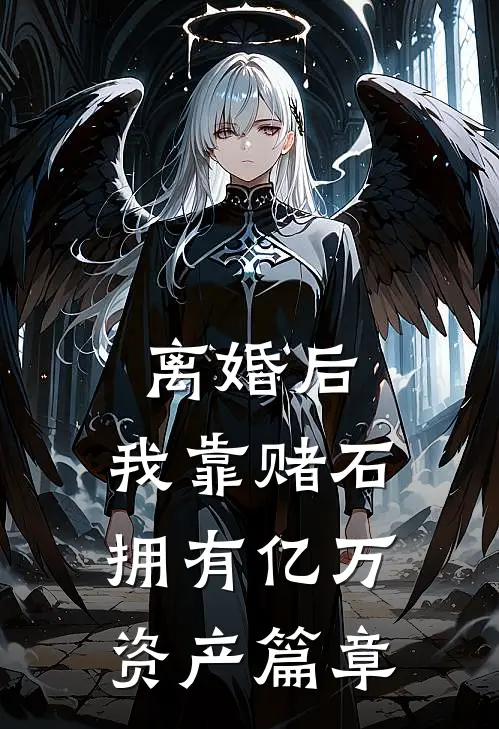 离婚后，我靠赌石拥有亿万资产篇章