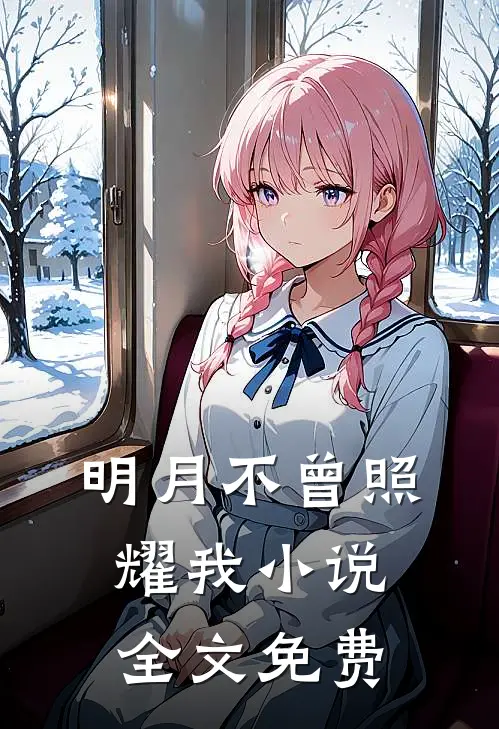 明月不曾照耀我小说全文免费