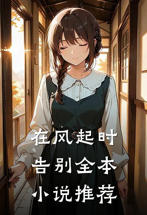 在风起时告别全本小说推荐