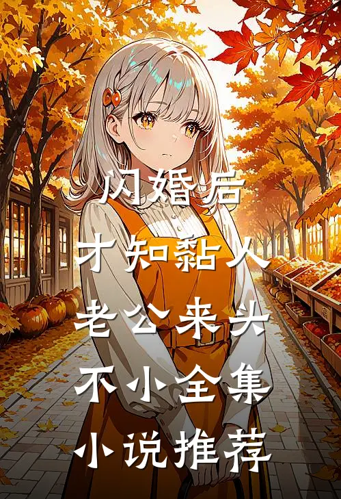 闪婚后，才知黏人老公来头不小全集小说推荐