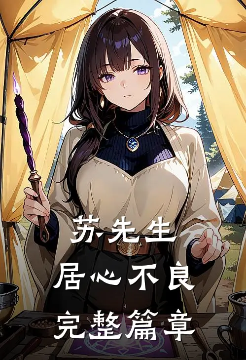 苏先生，居心不良完整篇章