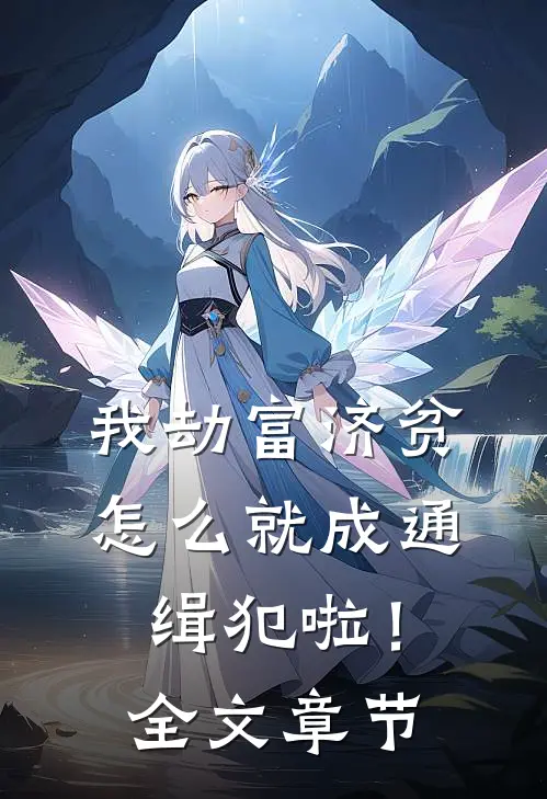 我劫富济贫，怎么就成通缉犯啦！全文章节