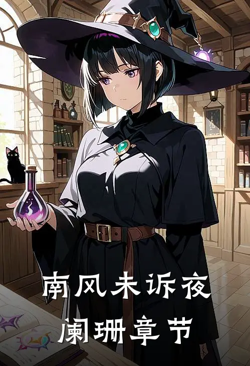 南风未诉夜阑珊章节