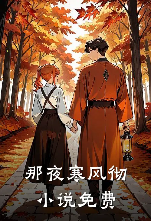 那夜寒风彻小说免费