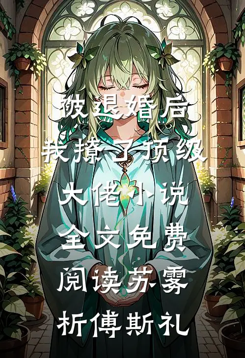 被退婚后，我撩了顶级大佬小说全文免费阅读苏雾析傅斯礼
