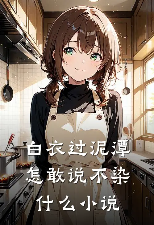 白衣过泥潭，怎敢说不染什么小说