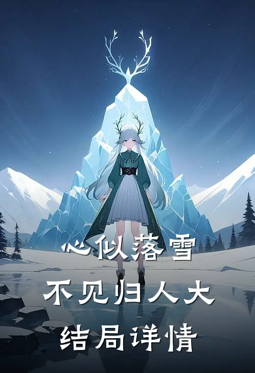 心似落雪，不见归人大结局详情