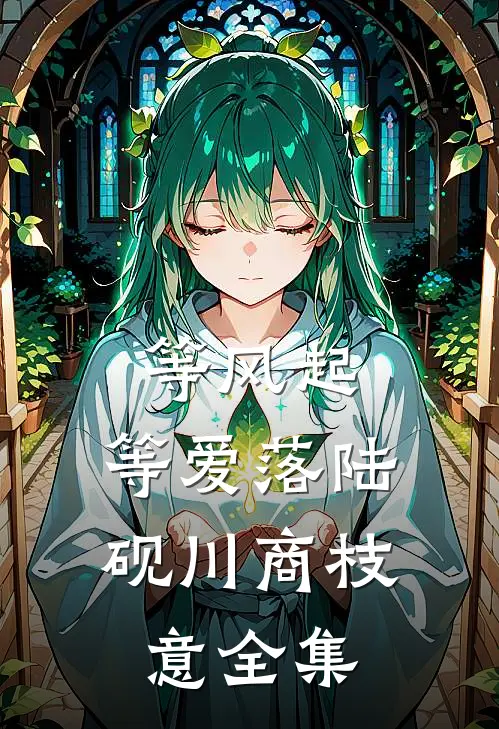 等风起，等爱落陆砚川商枝意全集