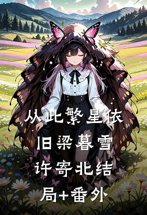从此繁星依旧梁暮雪许寄北结局+番外