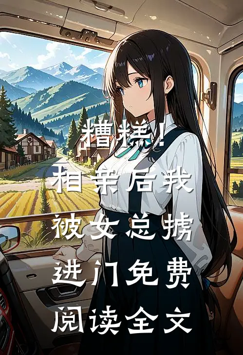糟糕！相亲后，我被女总掳进门免费阅读全文