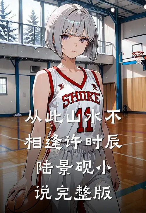 从此山水不相逢许时辰陆景砚小说完整版