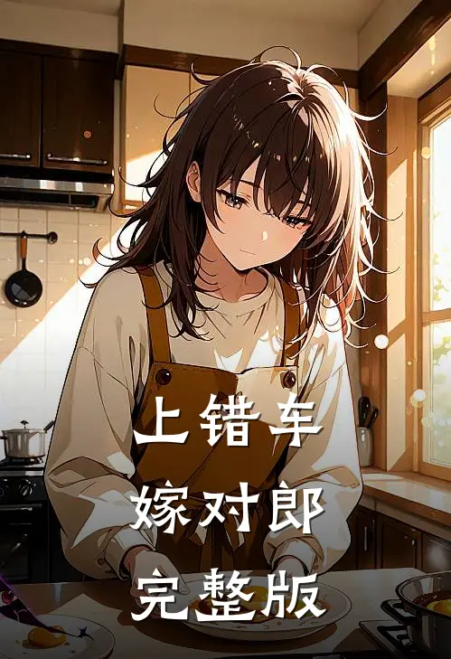 上错车，嫁对郎完整版