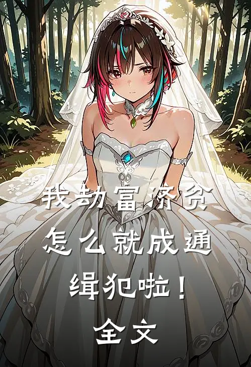 我劫富济贫，怎么就成通缉犯啦！全文