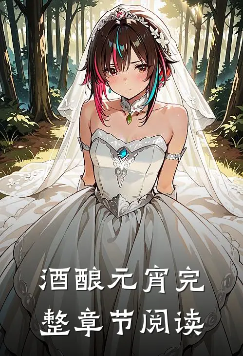 酒酿元宵完整章节阅读