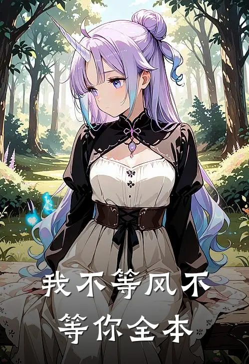 我不等风不等你全本