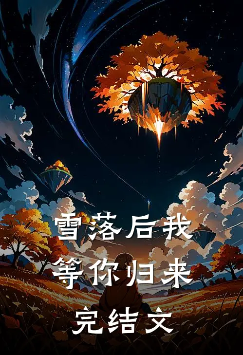 雪落后我等你归来完结文