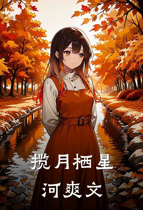 揽月栖星河爽文