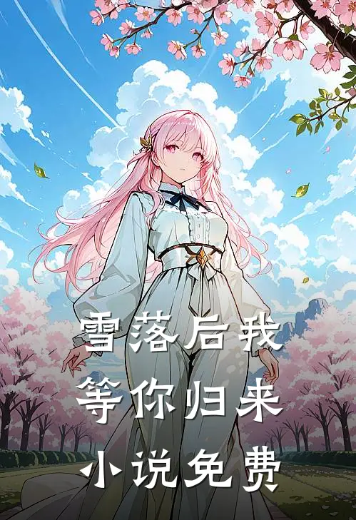 雪落后我等你归来小说免费