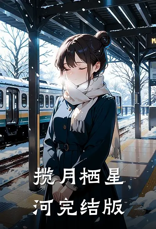 揽月栖星河完结版