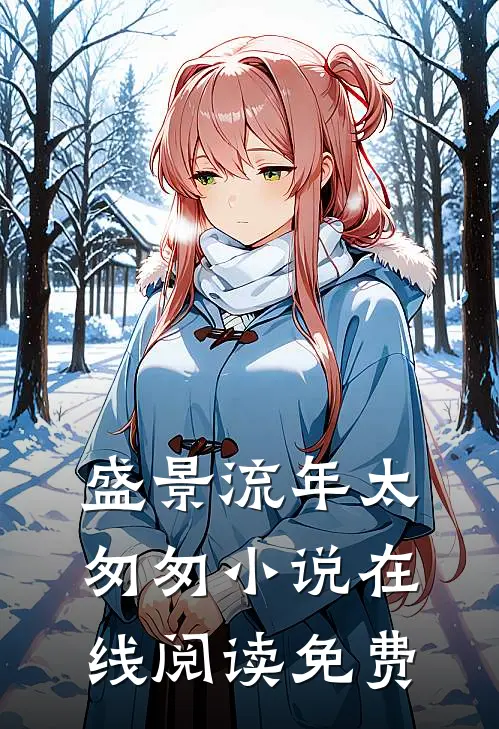 盛景流年太匆匆小说在线阅读免费