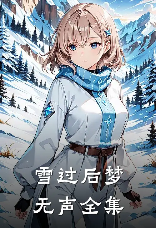 雪过后梦无声全集
