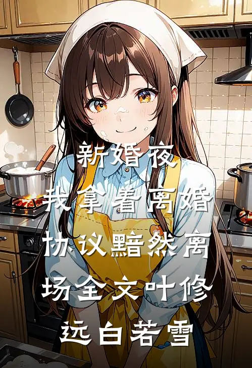 新婚夜，我拿着离婚协议黯然离场全文叶修远白若雪