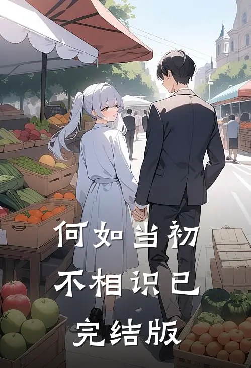 何如当初不相识已完结版